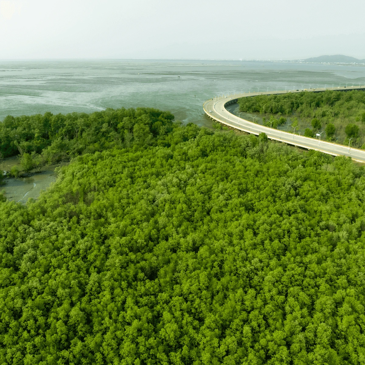 ITRSL Salud del planeta cero emisiones